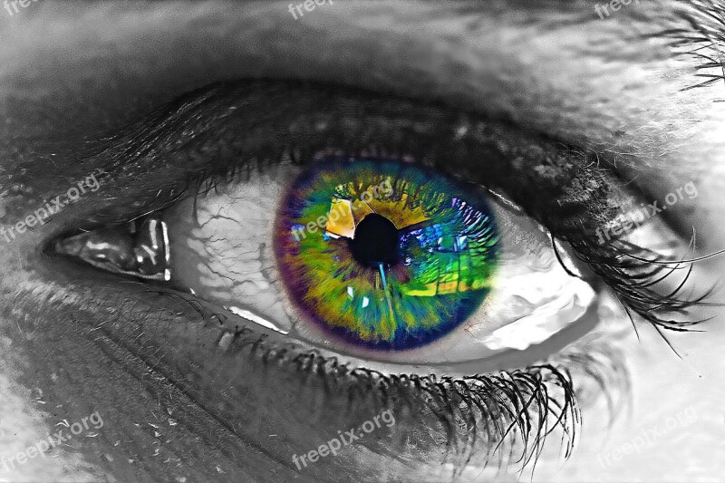 Eye Iris Pupil Female Human