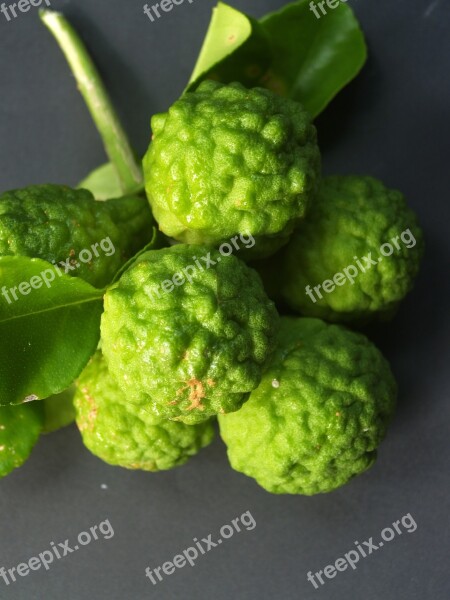 Bergamot Fruit Leaf Isolated Thailand