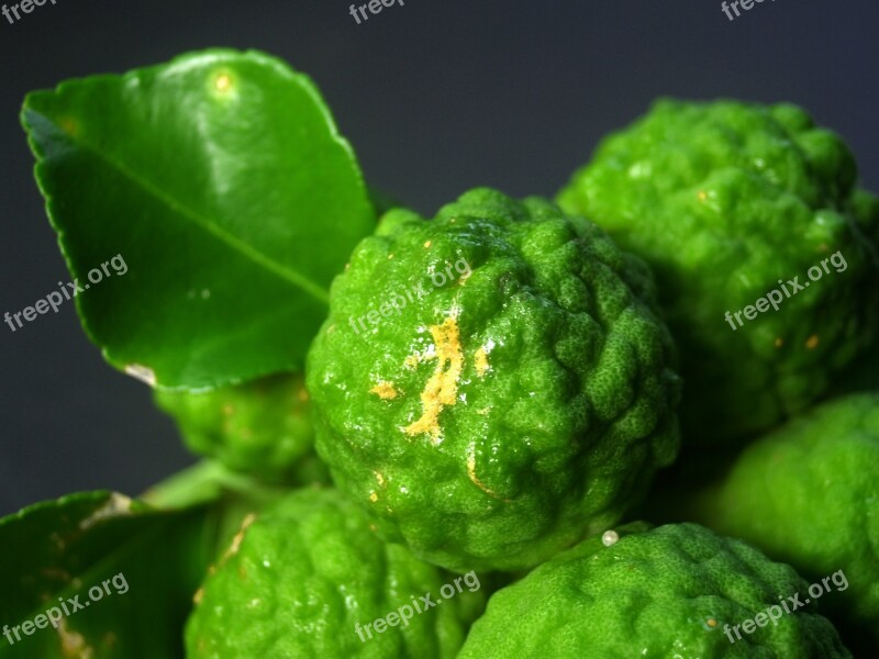 Bergamot Fruit Leaf Isolated Thailand