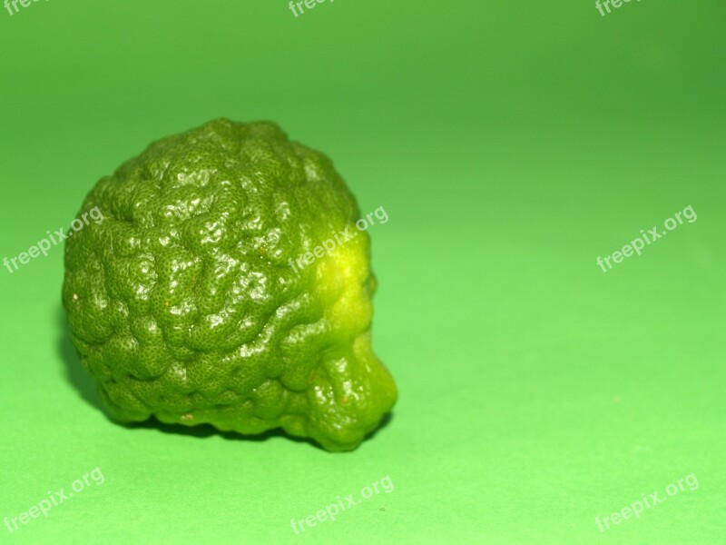 Bergamot Fruit Leaf Isolated Thailand