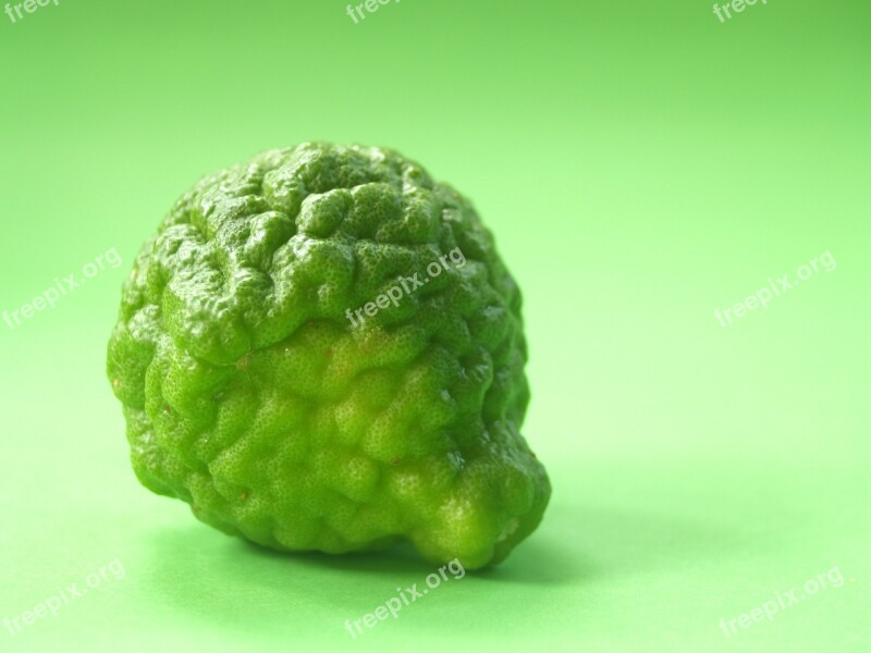 Bergamot Fruit Leaf Isolated Thailand