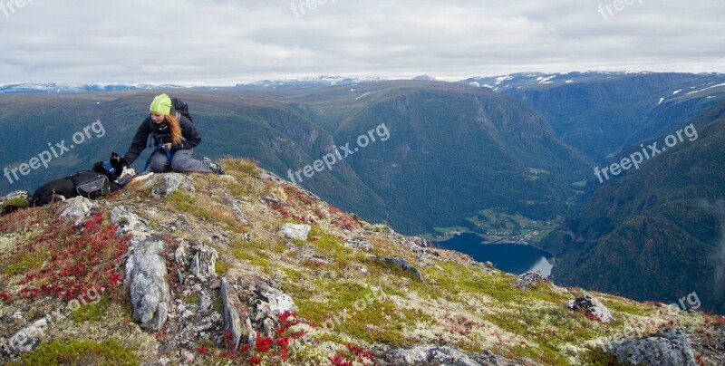 Dog Mountains Hiking Norway Landscape