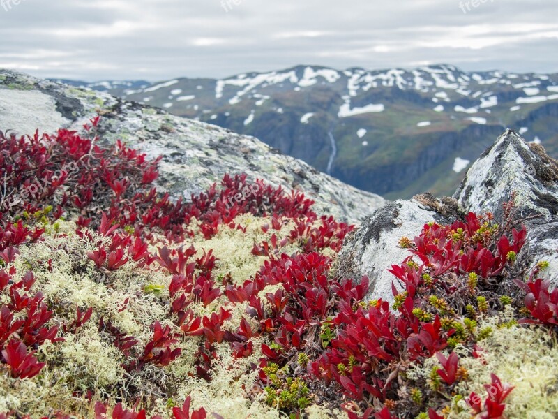 Mountain View Alpine Nature Panorama