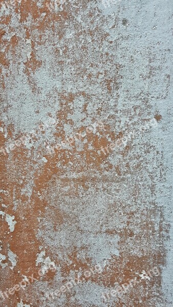 Wall Color Texture Sassi Fossils