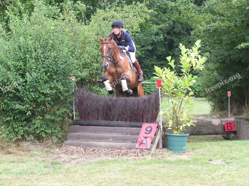 Military Versatility Ride Horse Eventing