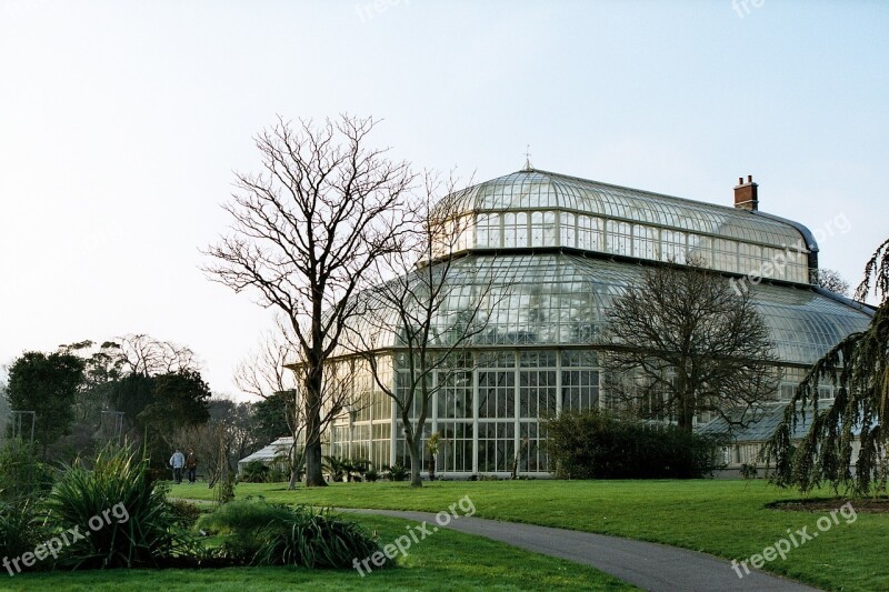 Greenhouse Botanical Gardens Botanical Conservatory Nature