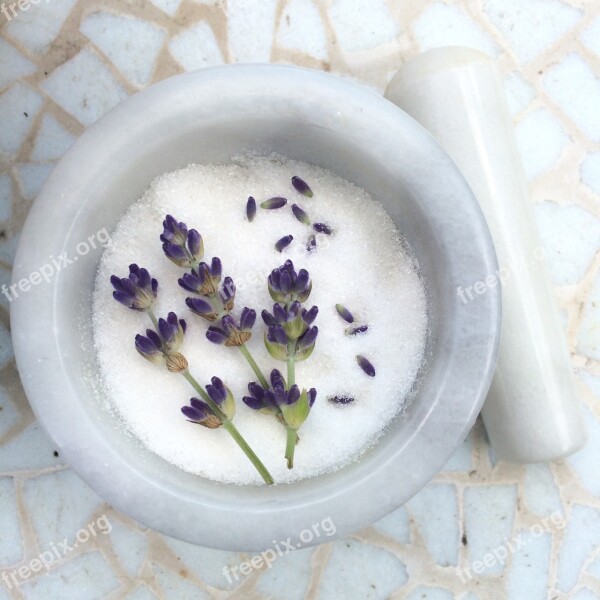 Lavender Sugar Lavandula Lavender Sugar Zucker