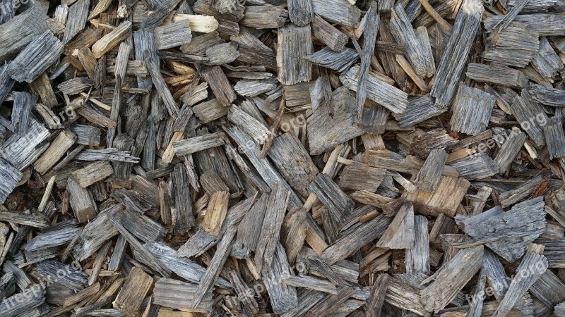 Tree Wood Chips Wood Background Free Photos