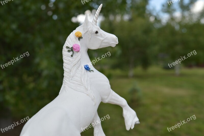 Unicorn Horse Fantasy White Horn Animal