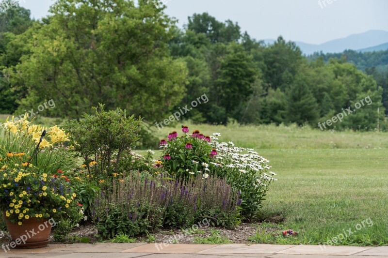 Vermont Flowers Green Nature Usa