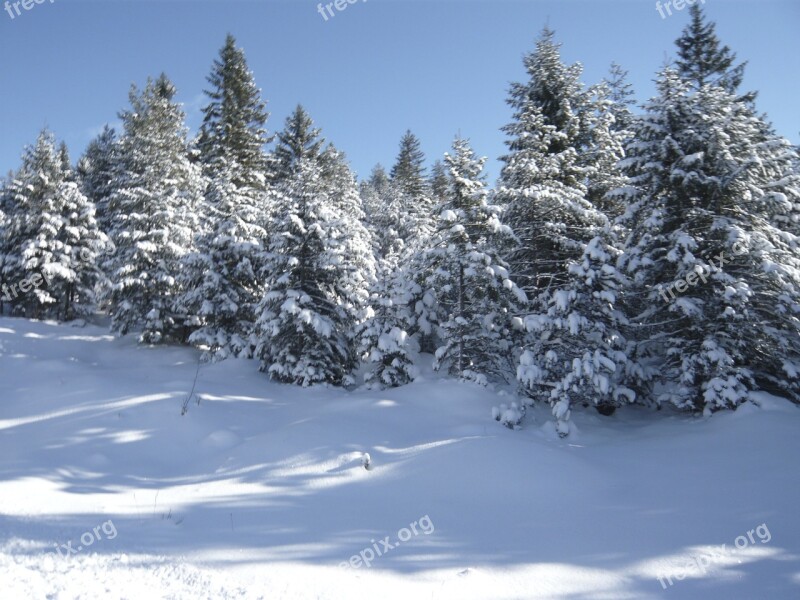 Snow Mountains Wintry Winter Alpine