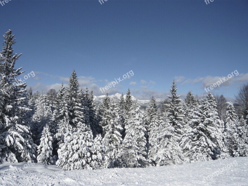 Snow Mountains Wintry Winter Alpine