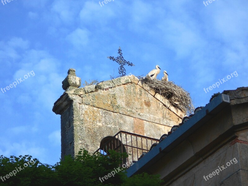 Storks Chick Bell Tower Cruz Animal