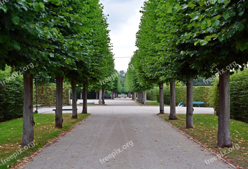 Away Park Trees Herrenhäuser Gardens Hanover