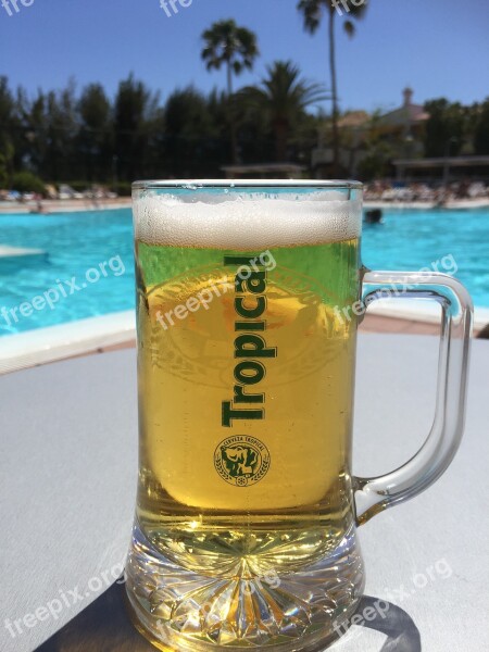 Beer Gran Canaria Maspalomas Swimming Pool Relax