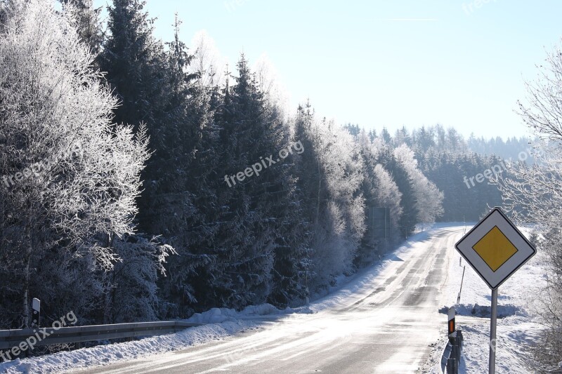 Snow Winter Wintry Symbol Picture Winter Forest