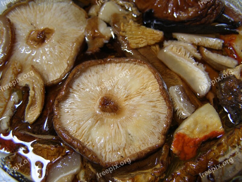 Mushroom Shitake Reconstitute Mixed Dried