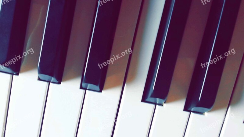 Piano Music Instruments Keys Sound