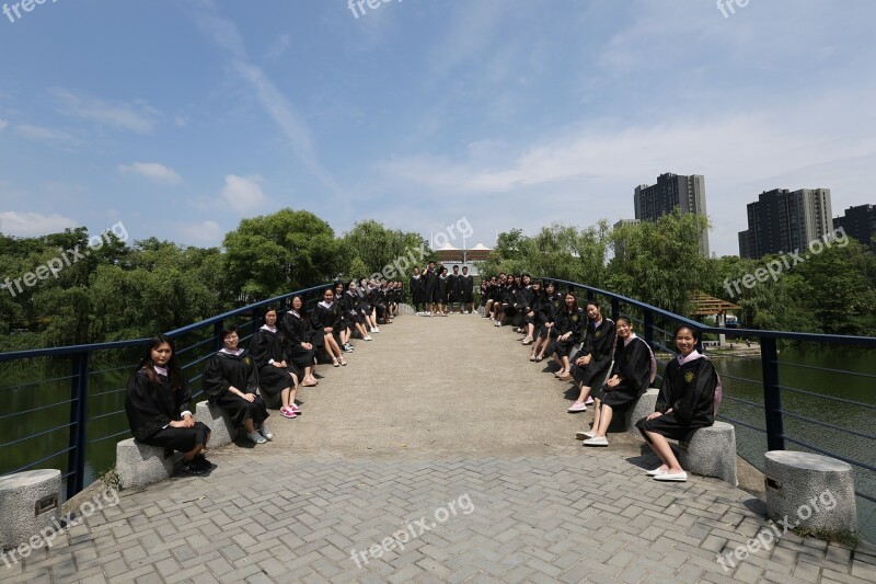 Graduation University Classmate Free Photos