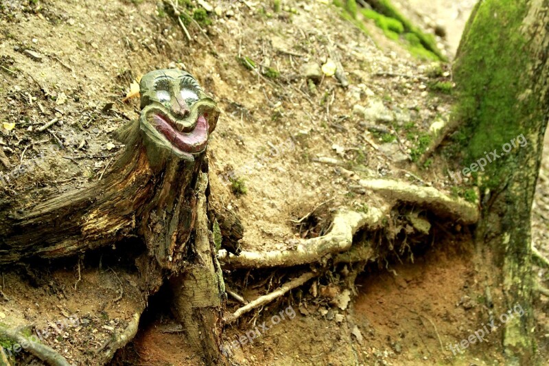 Tree Face Tree Face Wood Tree Spirit