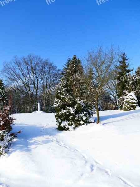 Winter Snow Wintry Cold Winter Trees