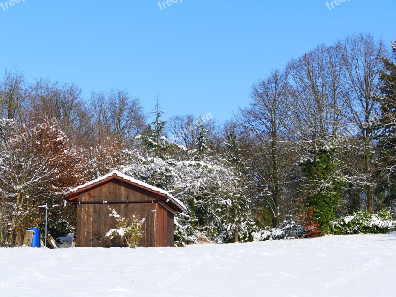 Winter Snow Wintry Cold Winter Trees