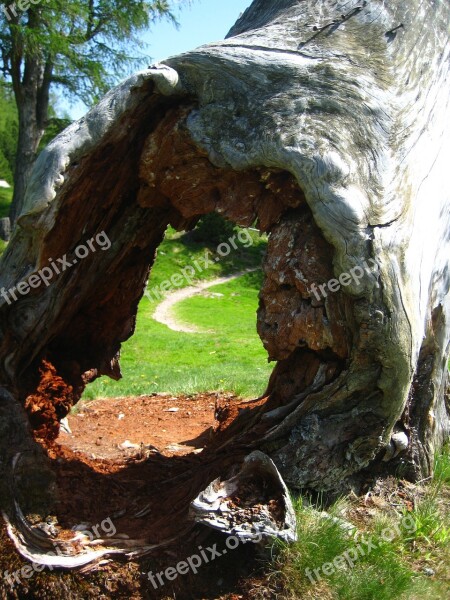 Log Hole Away Mountains Wood