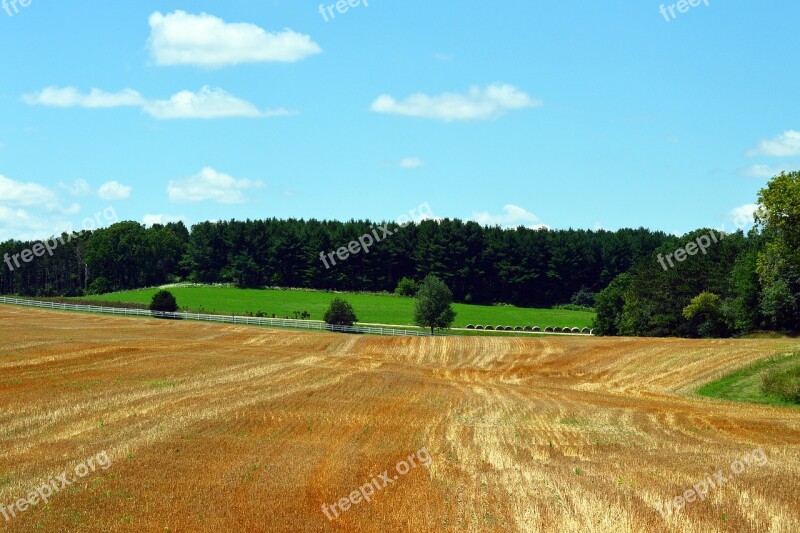 Farmland Farm Field Farm Field Agriculture