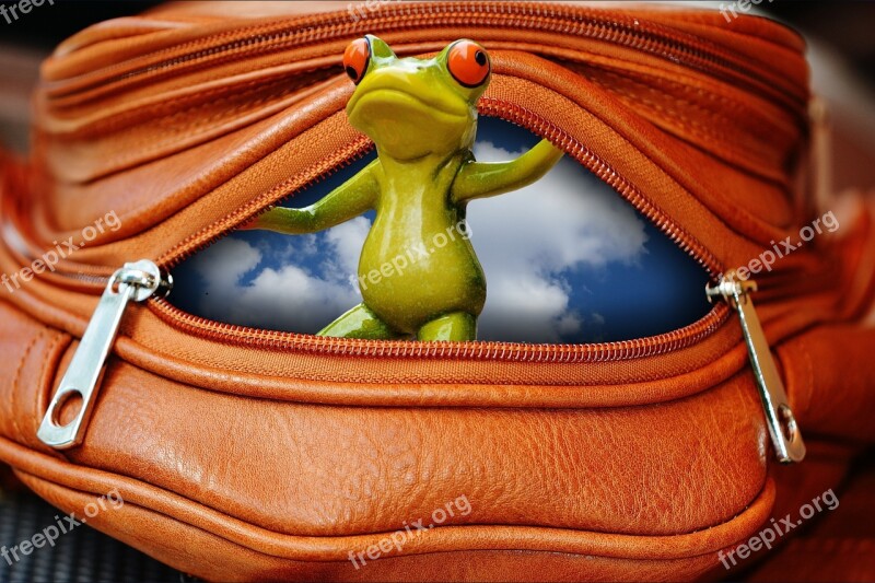 Frog Bag Zip Open Funny