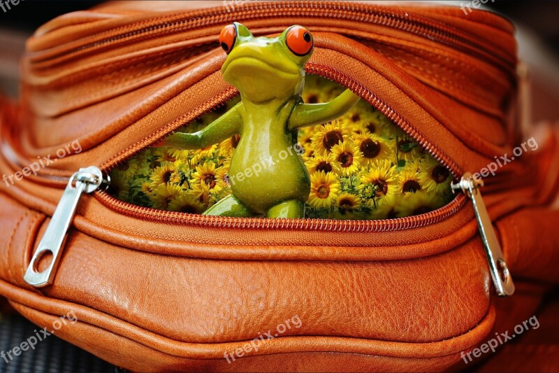 Frog Bag Zip Open Funny