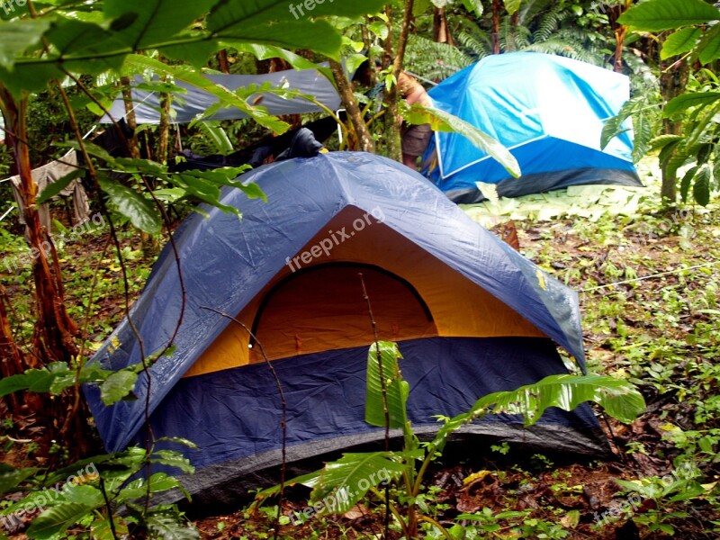 Camping Outdoors Tent Camp Jungle