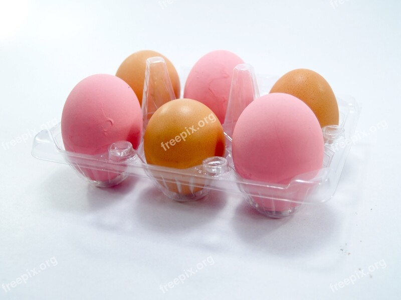 Egg Pink Market Eggshell Cholesterol