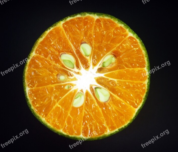 Orange Fruit Slice White Citrus