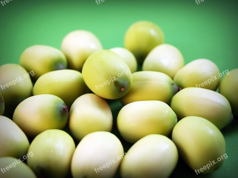 Lotus Seed Flower Leaf Pod