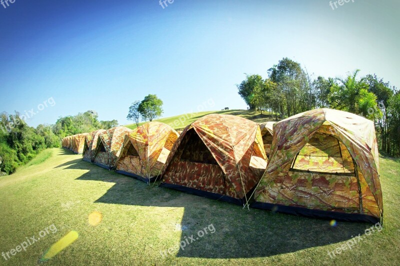 Camp Tent Tree Forrest Outdoor