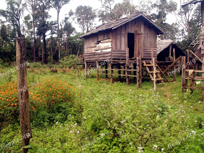 Pile Dwelling Crannog Stilt Houses Hut Cabin