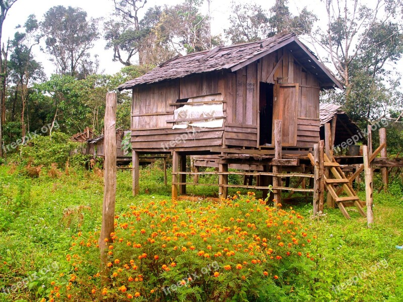 Pile Dwelling Crannog Stilt Houses Hut Cabin