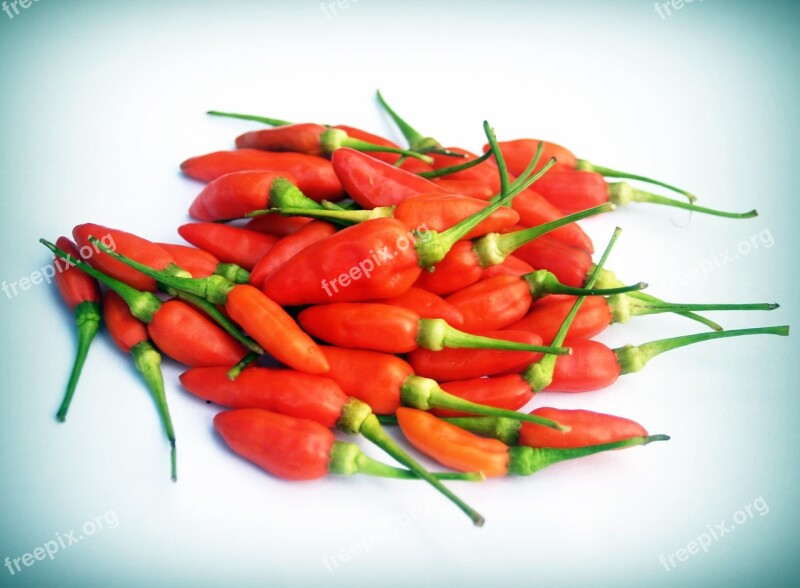 Chilli Pepper Red Hot Chili