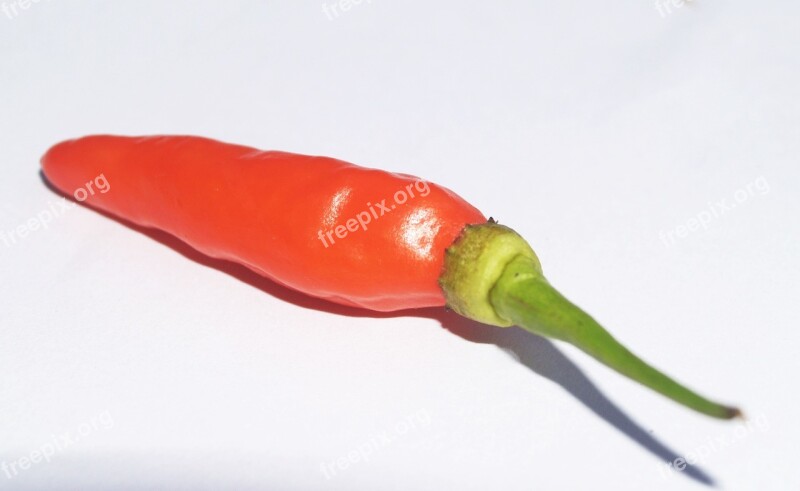 Chilli Pepper Red Hot Chili