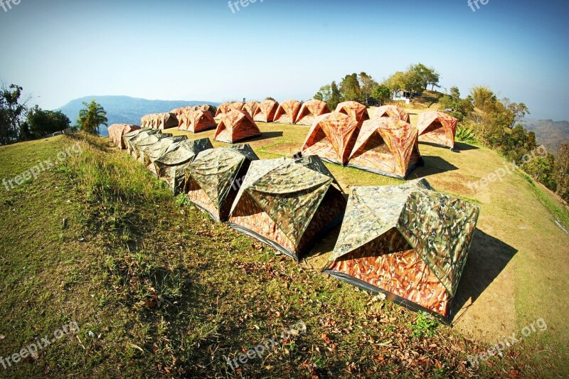 Camp Tent Tree Forrest Outdoor