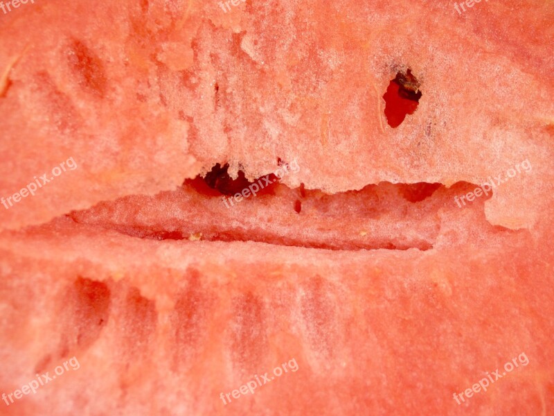 Watermelon Slice Isolated Seeded Delicious