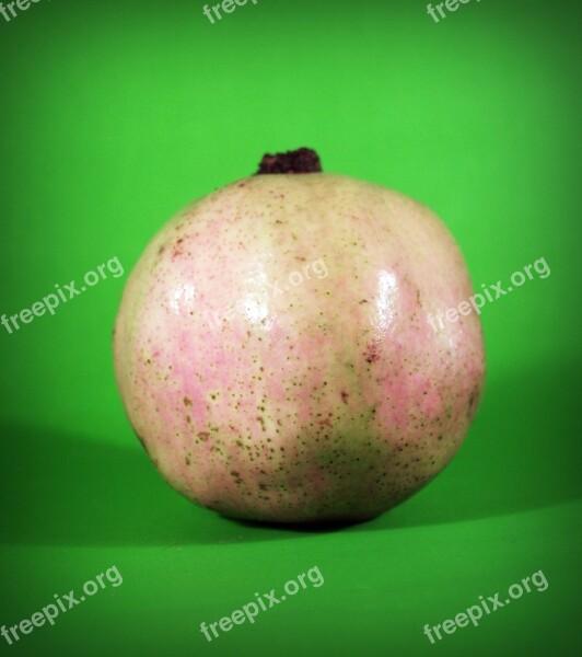 Pear Asian Nashi Closeup Isolated