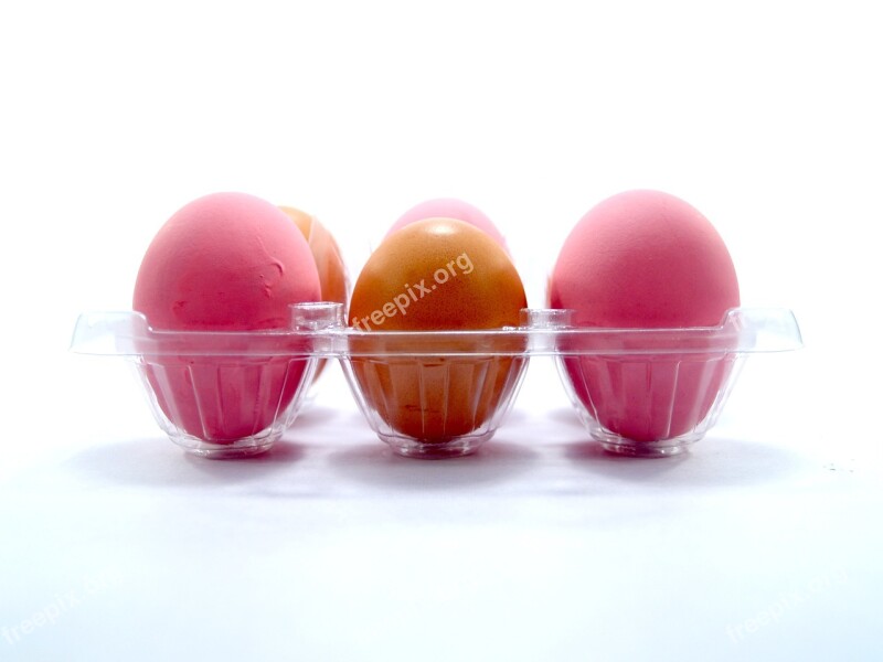 Egg Pink Market Eggshell Cholesterol