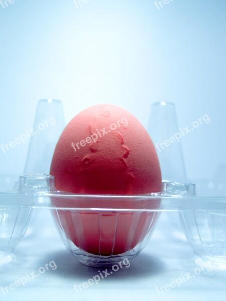 Egg Pink Market Eggshell Cholesterol