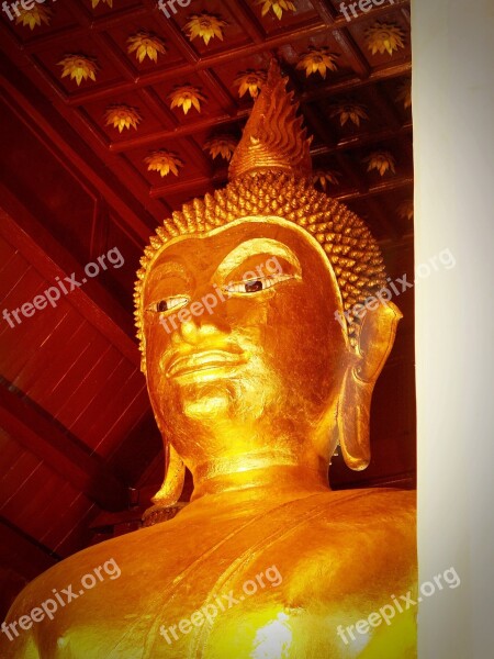 Buddha Buddah Thailand Tibet Gold