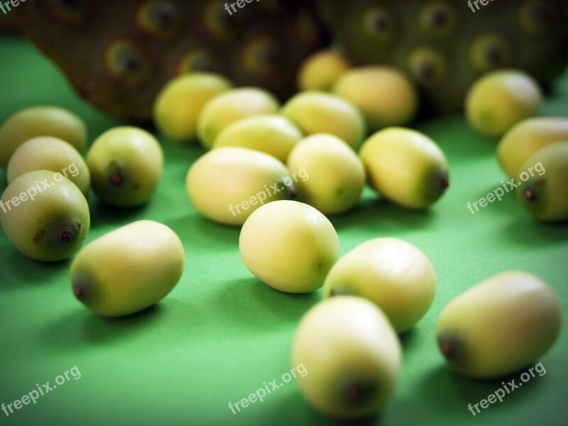 Lotus Seed Flower Leaf Pod