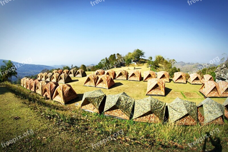 Camp Tent Tree Forrest Outdoor