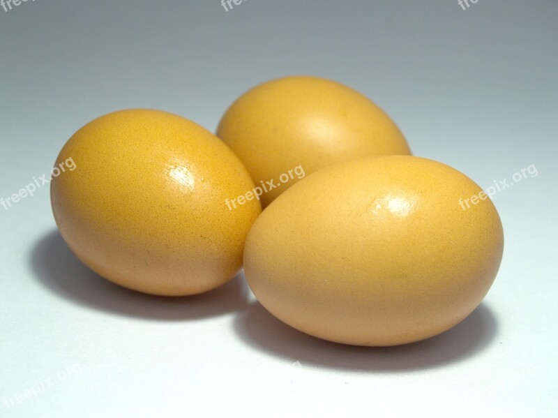 Egg Pink Market Eggshell Cholesterol