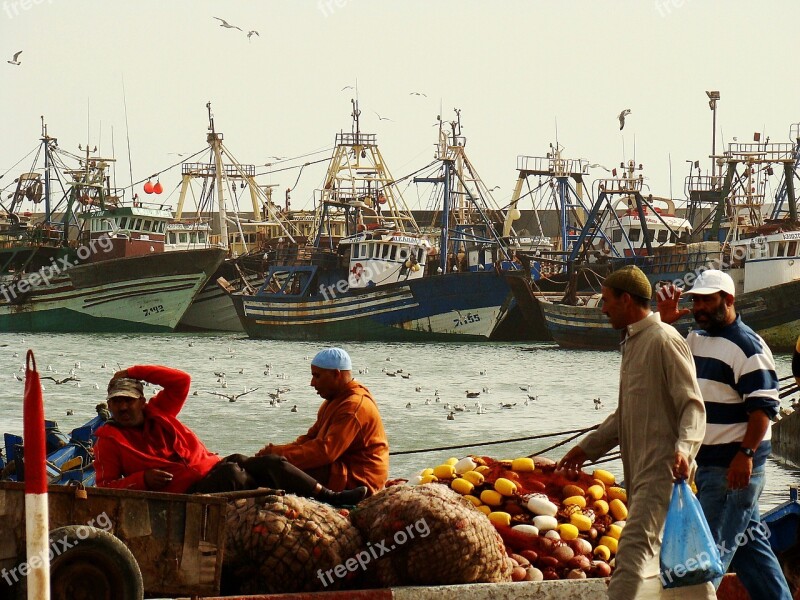 Morocco Ship Dreamy Colorful Gulls