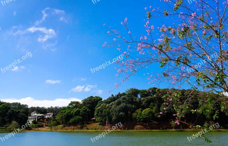 Lake Landscape Beautiful Scene Nature